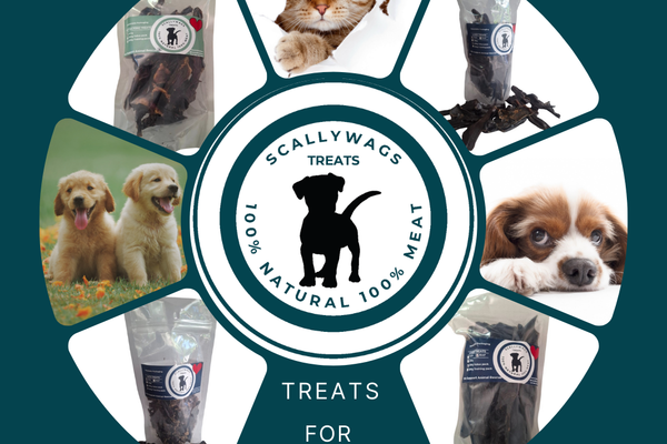 The Story Behind Scallyways Treats: A Healthy, Natural Choice for Your Dog