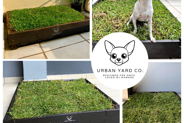Urban Yard Co. – Bringing a Little Piece of Nature to City-Living Pups