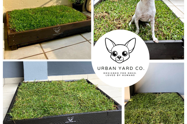 Urban Yard Co. – Bringing a Little Piece of Nature to City-Living Pups