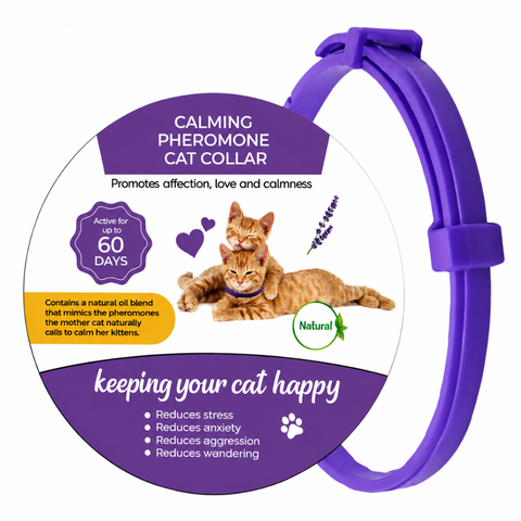 Calming Pheromone Collars for Cats
