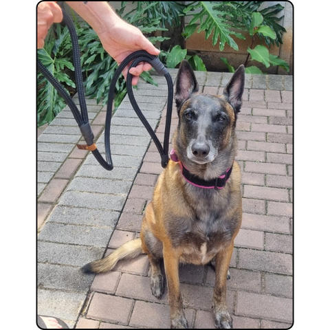 Rope Dog Lead (with Traffic Handle) – 1.3m | 12mm Yacht Rope (Heavy Duty) for medium to large dogs - Made To Order