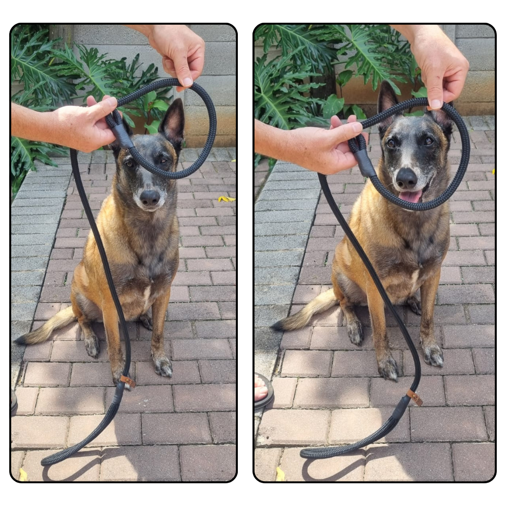 Slip Lead – 1.3m | 6mm Yacht Rope (Lightweight) for small dogs or puppies - Made To Order