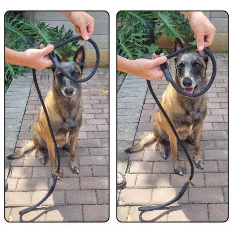 Slip Lead – 1.3m | 6mm Yacht Rope (Lightweight) for small dogs or puppies - Made To Order