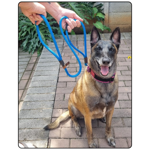 Rope Dog Lead (with Traffic Handle) – 1.8m | 10mm Yacht Rope - Made To Order