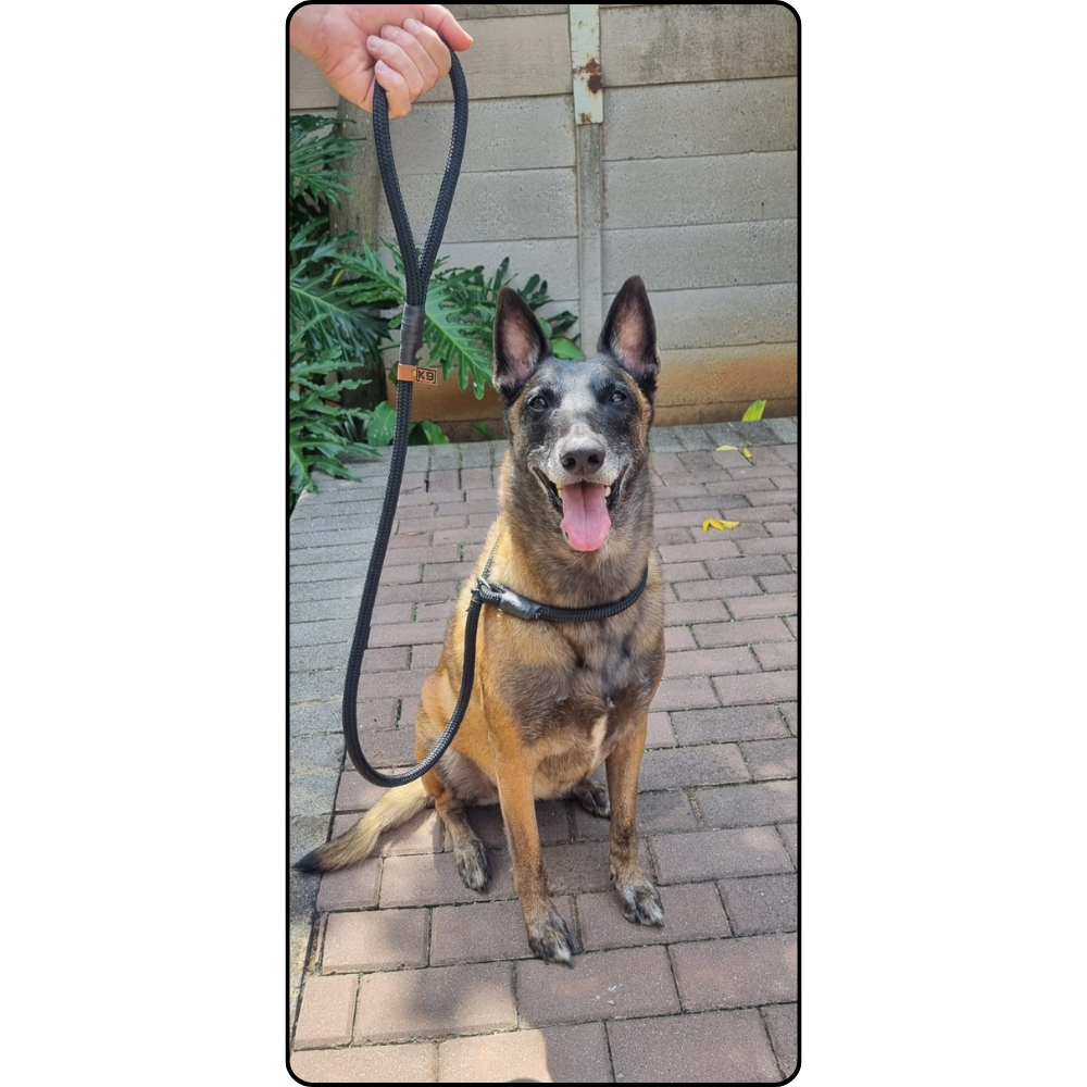 Slip Lead – 1.3m | 12mm Yacht Rope (Heavy Duty) ideal for medium to large dogs - Made To Order