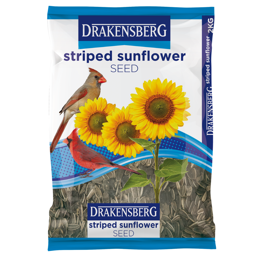 Drakensberg - Striped Sunflower Seeds – Nutritious Bird Seed for Parrots, Cockatiels and Wild Birds
