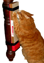 Kunduchi Cat Scratching Wall Unit