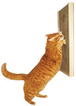 Kunduchi Cat Scratching Wall Unit
